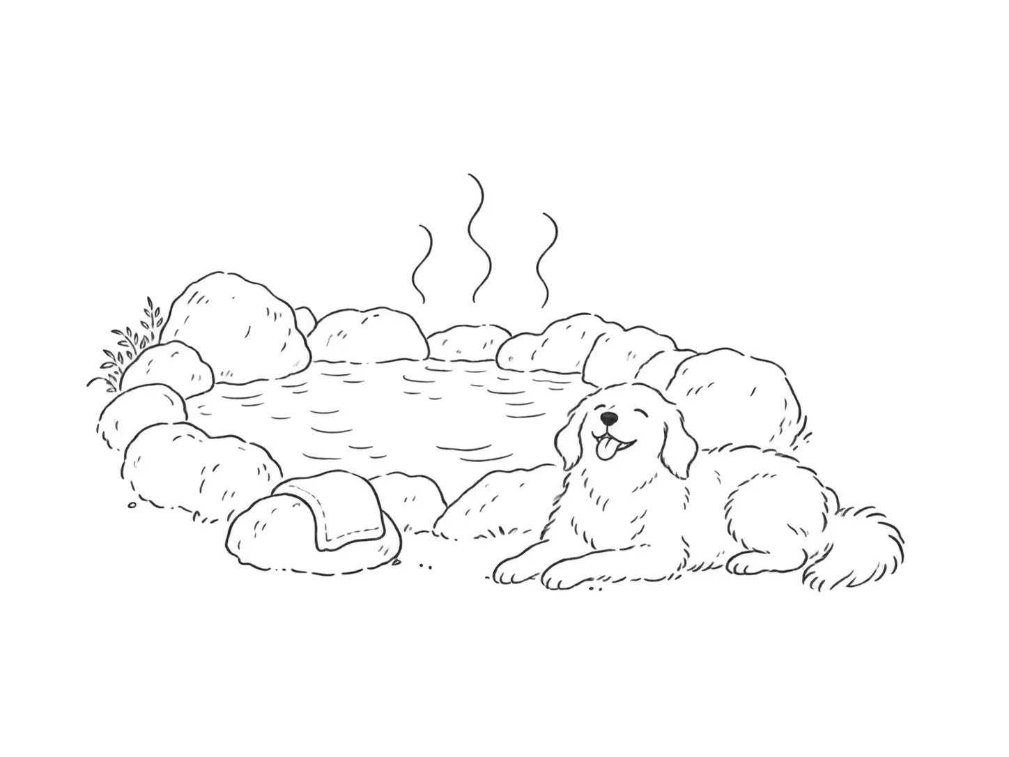 湯けむりの上がる岩風呂のそばにいる犬の線画