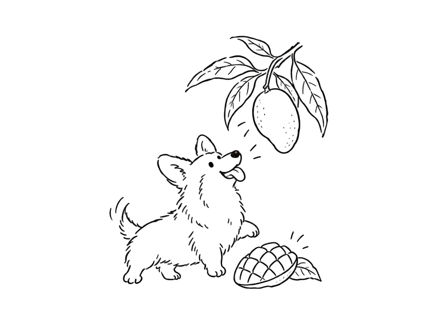 マンゴーを見上げる犬の線画