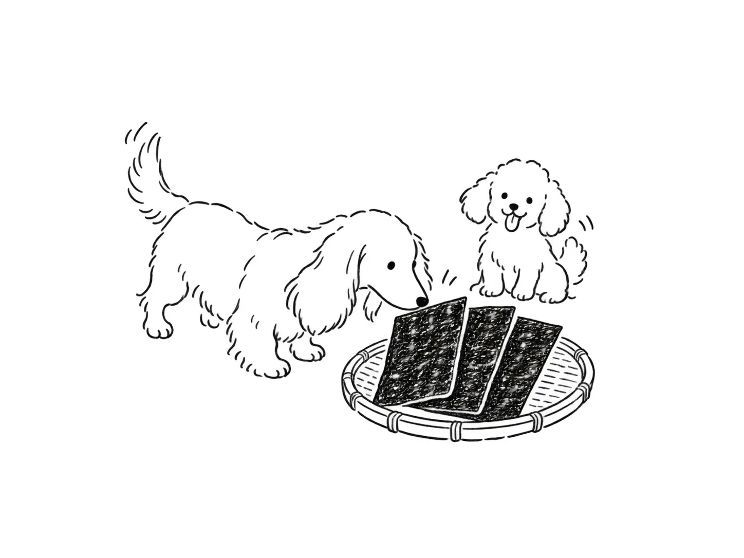 佐賀海苔を並べた盆をのぞく2匹の犬の線画